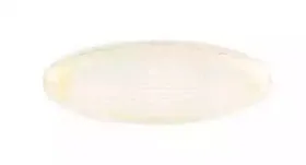 BSG 30-810-021 BSG Боковой габаритный фонарь